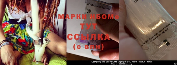 молекула духа Ладушкин
