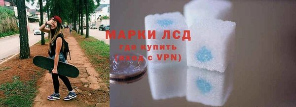 молекула духа Ладушкин