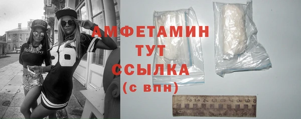 молекула духа Ладушкин