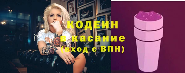 молекула духа Ладушкин