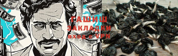 молекула духа Ладушкин