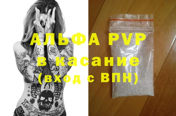 молекула духа Ладушкин