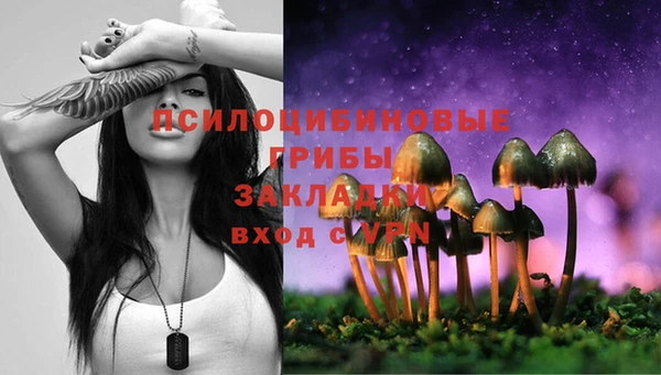 твердый Лабытнанги