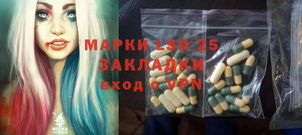 молекула духа Ладушкин