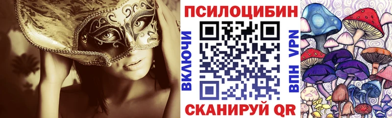 Купить где Каменногорск Галлюциногенные грибы прущие грибы